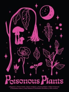 Wicked Clothes 'Poisonous Plants' Pink Botanical Graphic Black T-Shirt Uni M